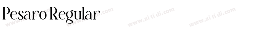 Pesaro Regular字体转换 Pesaro Regular字体转换